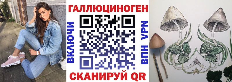 Галлюциногенные грибы GOLDEN TEACHER  хочу   Шагонар 